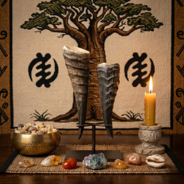 Authentic Iwo Etu (Duiker Horn) - Ancestral Power & Ritual Vessel - Traditional Nigerian Origin
